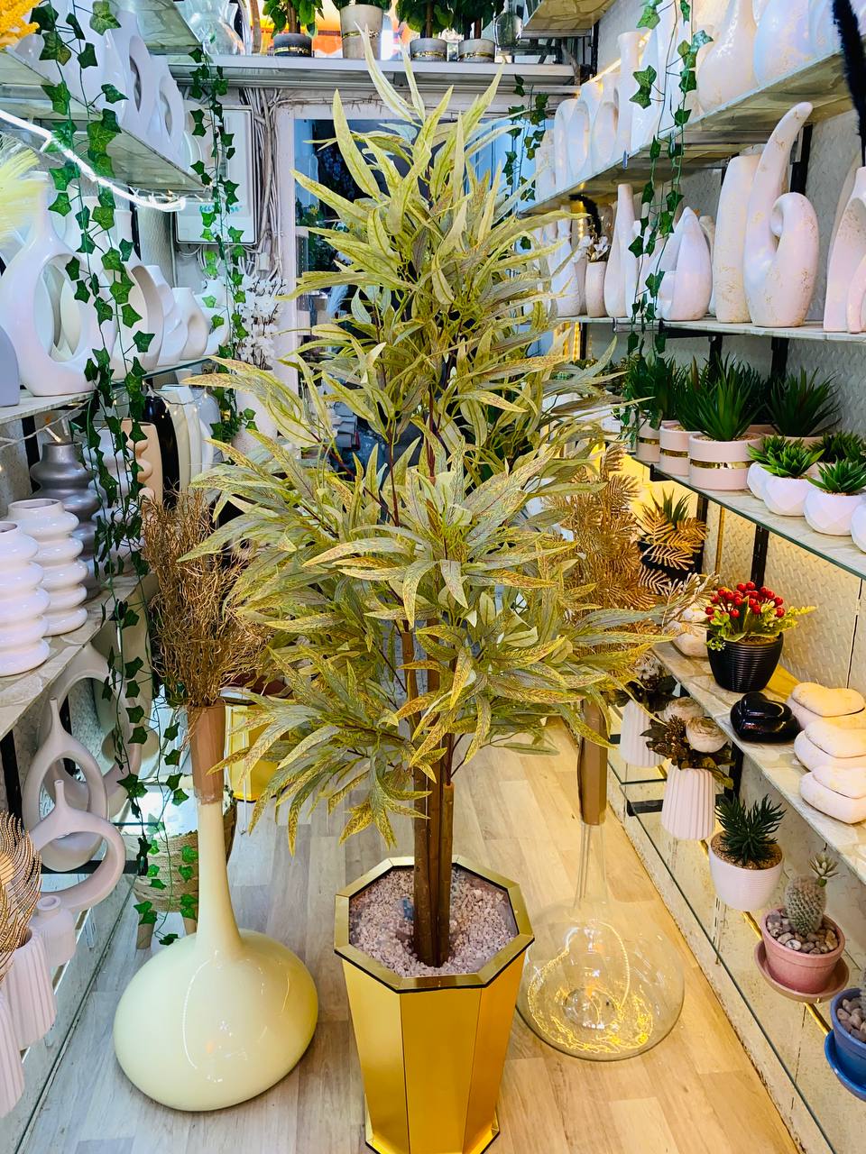 Eucalyptus