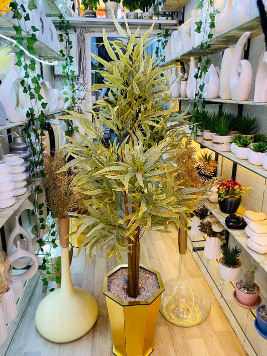Eucalyptus