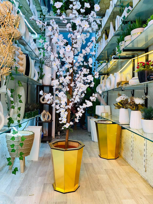 Cerisier en Fleurs
