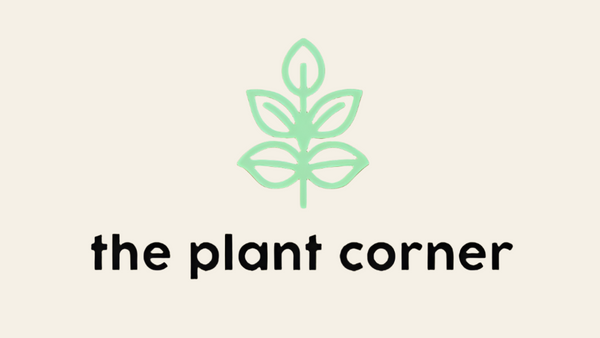 the plant corner